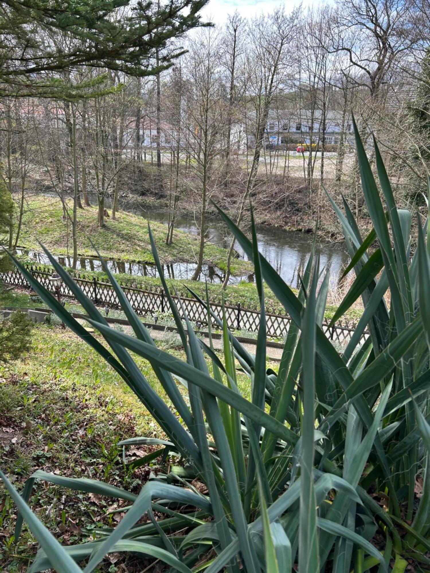 Ferienhaus Lavendel Obergurig エクステリア 写真